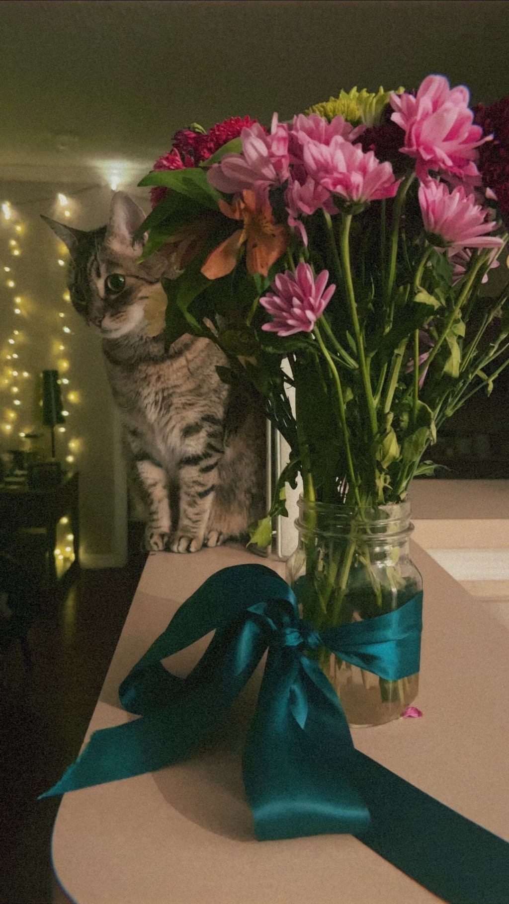 I want to find&nbsp;her—&nbsp;